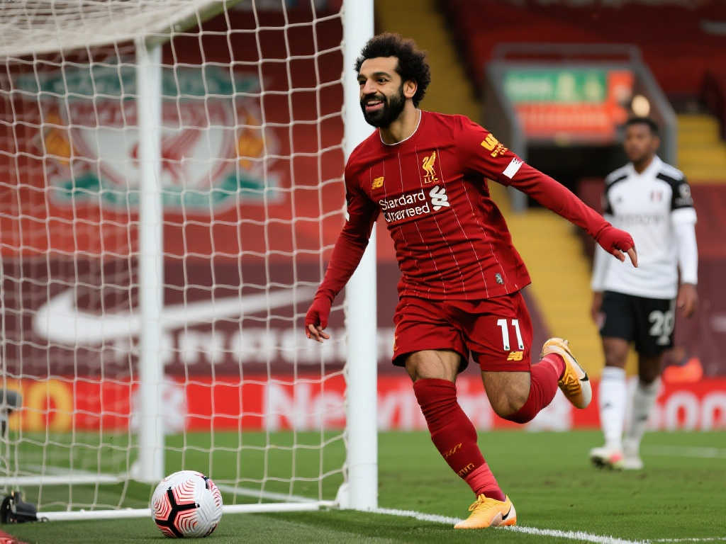 对比赛的理 对比赛的理